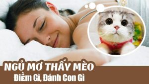 Ý nghĩa khi nằm mơ thấy con mèo là gì?