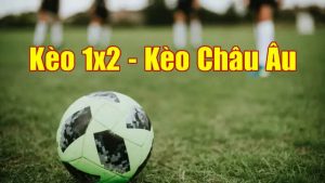 Chiến thuật cá cược kèo 1X2 hiệu quả